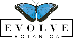 Evolve Botanica Coupons and Promo Code