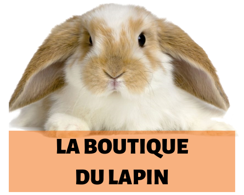 LaBoutiqueDuLapin Coupons and Promo Code
